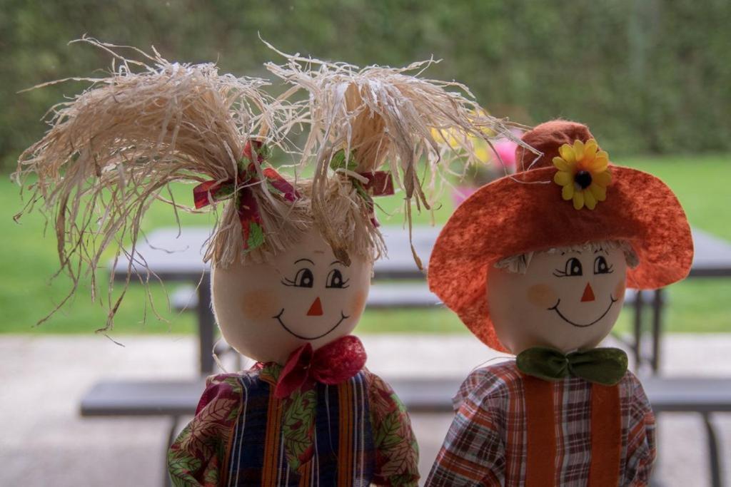 Groepsaccommodatie Kom In De Bedstee Sprookje Winterswijk Exteriör bild